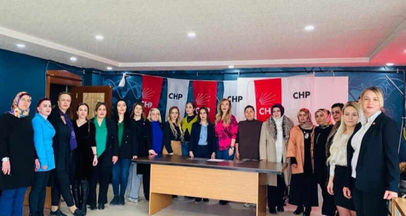 CHP Van İl Kadın Kolları Başkanı Aslan: “Bu seçim biz kadınlar için hayati öneme sahip”