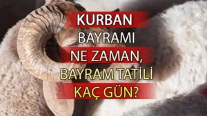 Yeni dönemin ilk kabinesi, Cumhurbaşkanı Erdoğan başkanlığında Cumhurbaşkanlığı Külliyesi’nde toplandı.