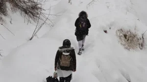 Van'da kar yağışı yoğun etkisini gösteriyor. Kar yağışının yoğun olduğu