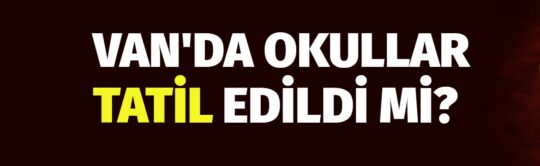 Van'da yaşanan olaylar sonrası bazı